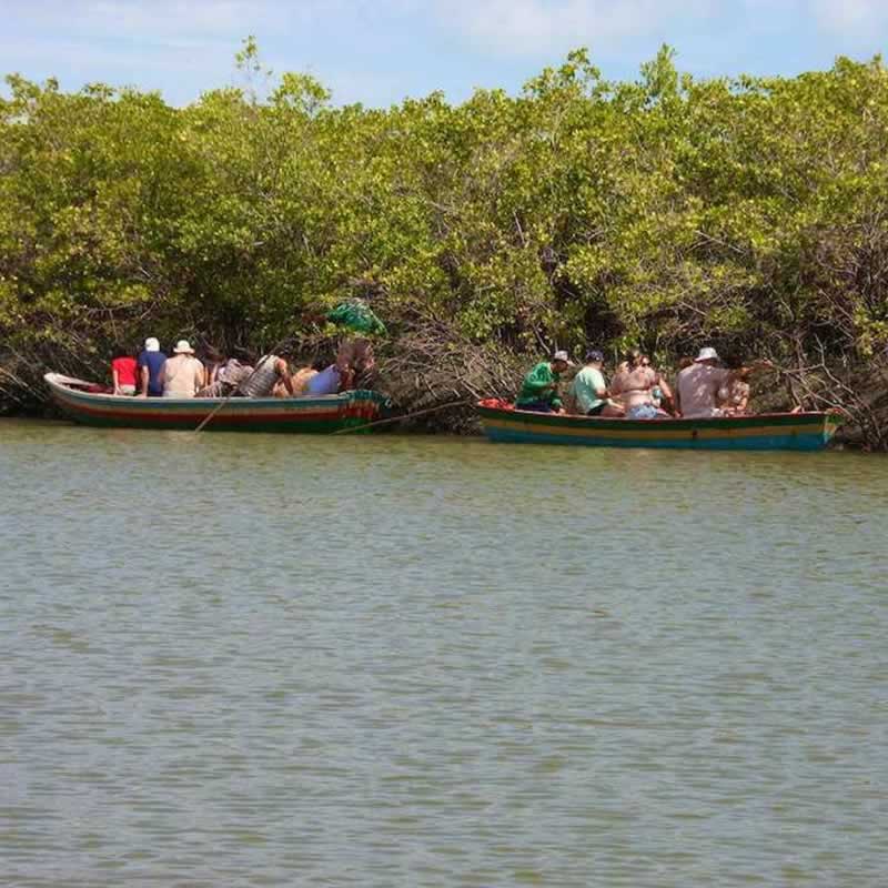 Passeio-Ecologico-do-Cavalo-Marinho-Jericoacoara-03