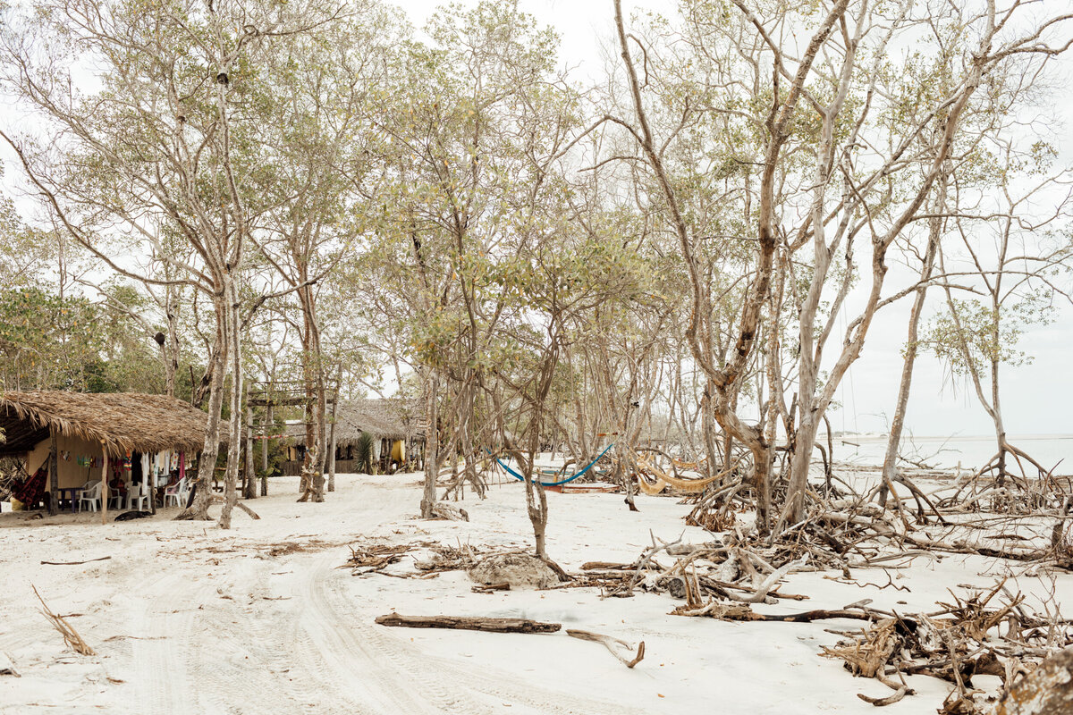 mangue+seco+jericoacoara+guriu+camocim
